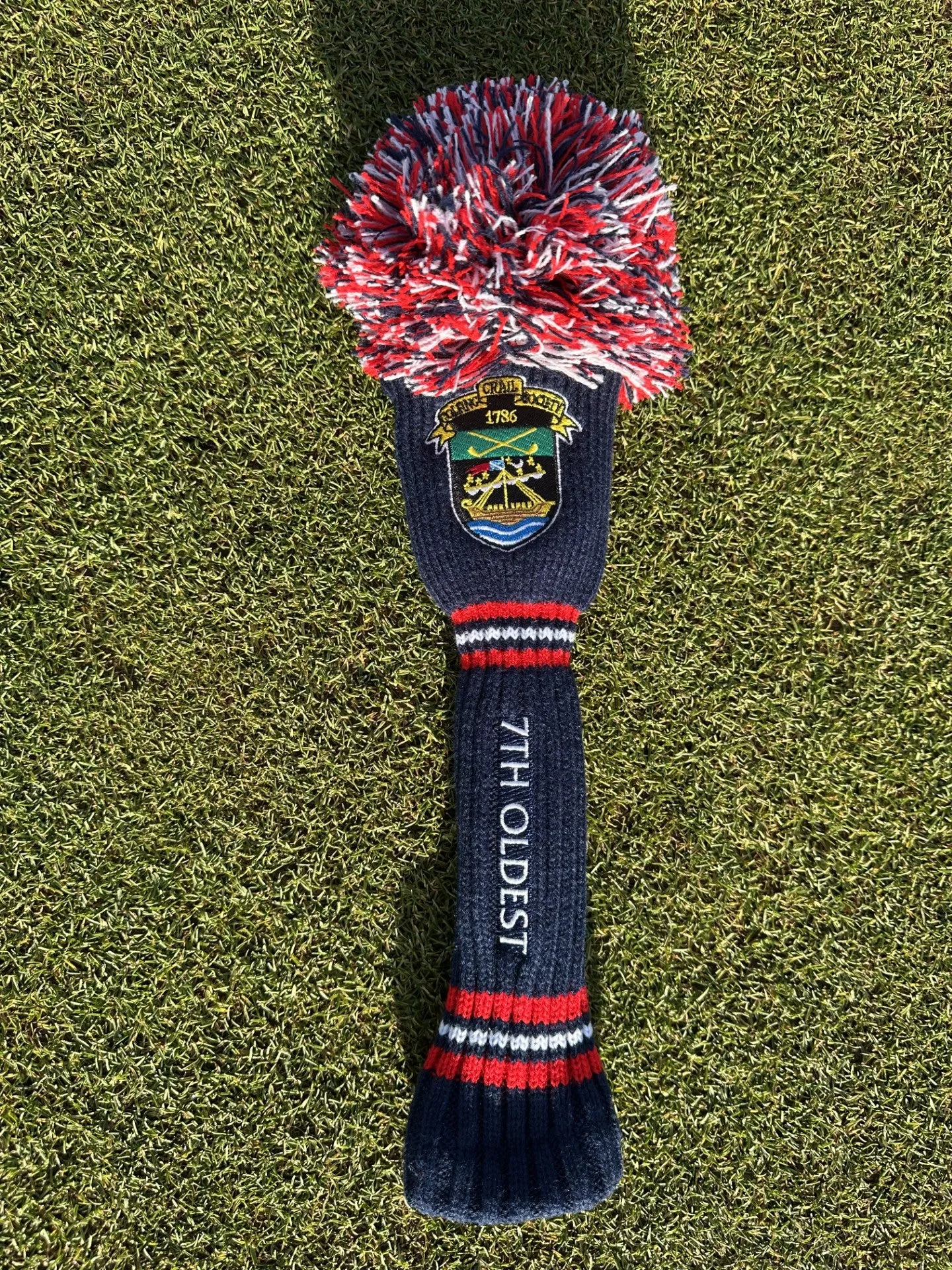 7th Oldest Pom Hybrid Cover