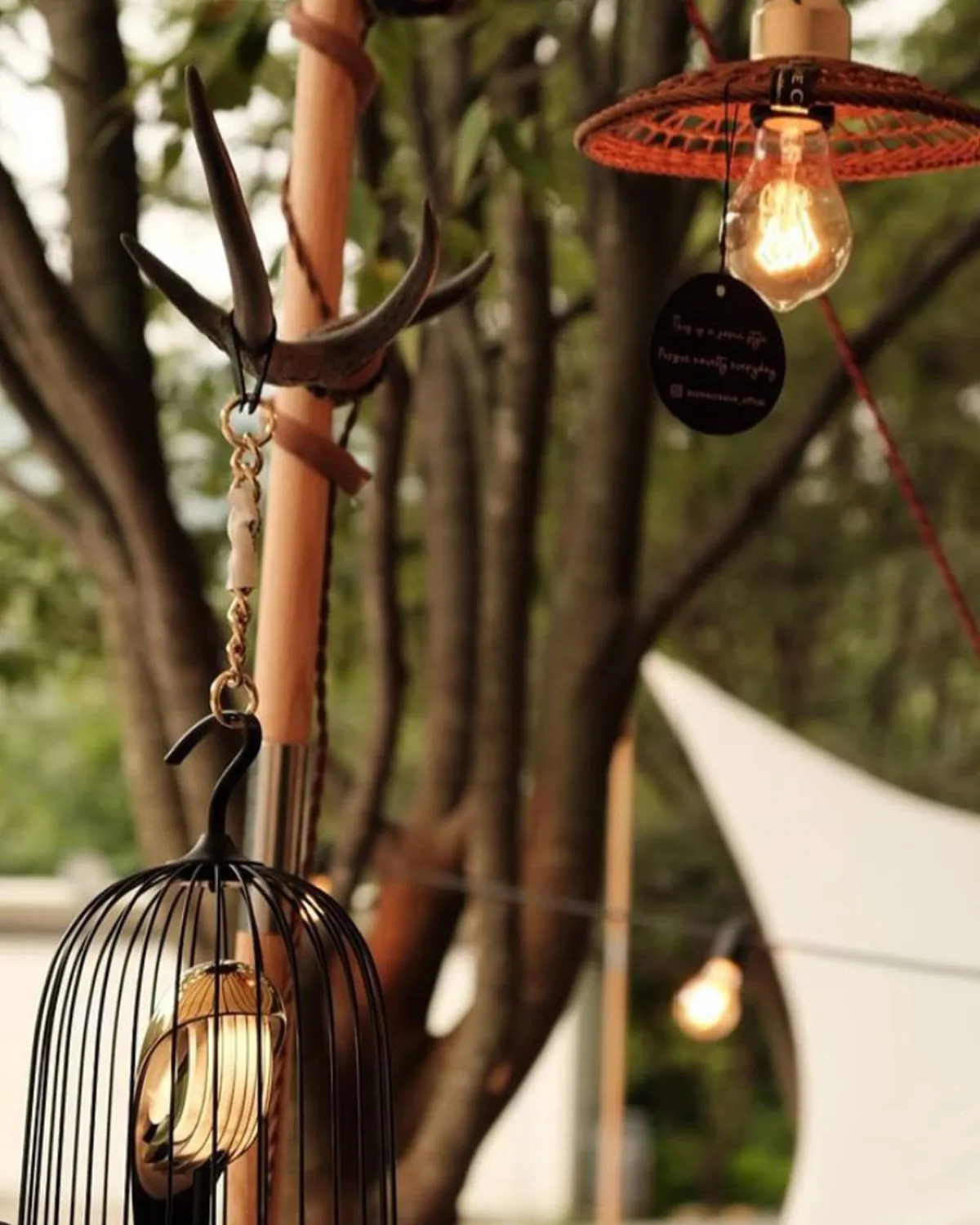 Bluetooth Speaker   Light JINGOO THE PHOENIX