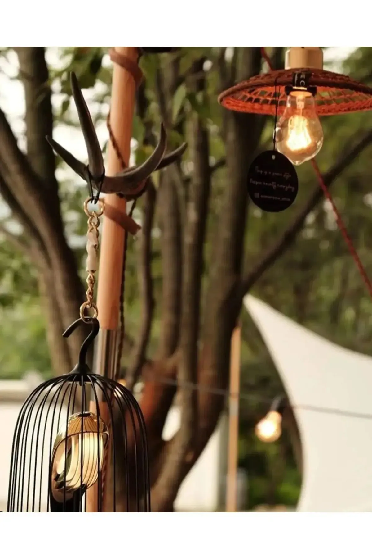 Bluetooth Speaker   Light JINGOO THE PHOENIX