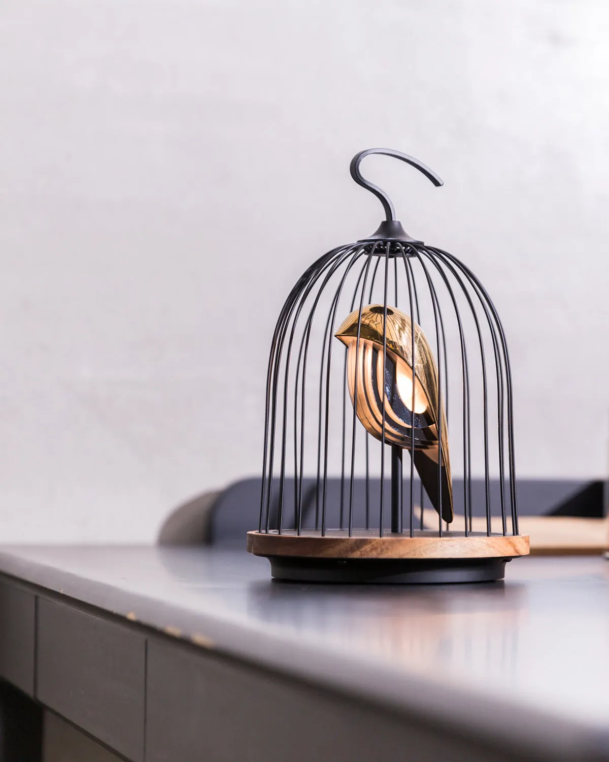 Bluetooth Speaker   Light JINGOO THE PHOENIX