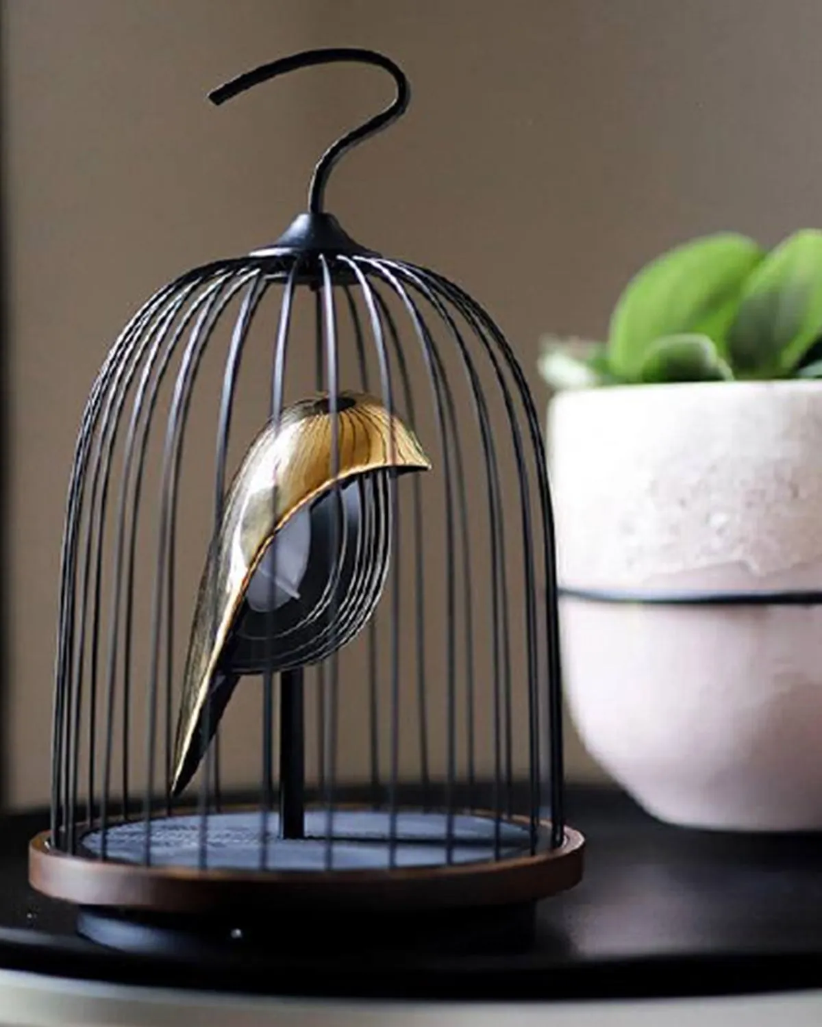 Bluetooth Speaker   Light JINGOO THE PHOENIX