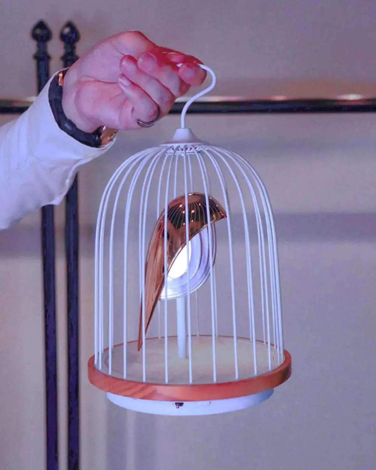 Bluetooth Speaker   Light - Jingoo White Phoenix