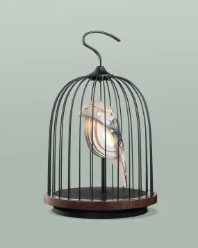 Bluetooth Speaker   Light - JINGOO