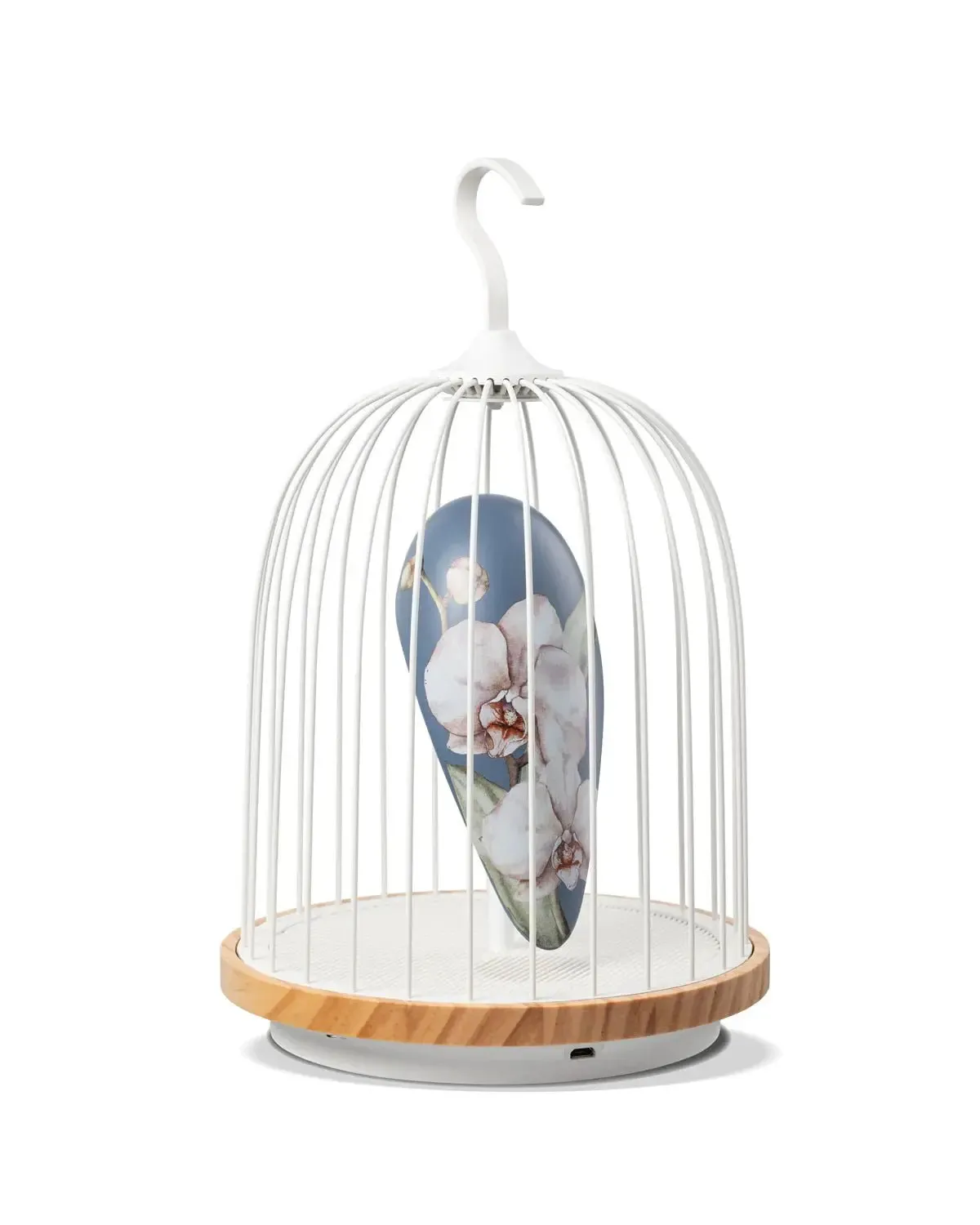Bluetooth Speaker   Light - JINGOO