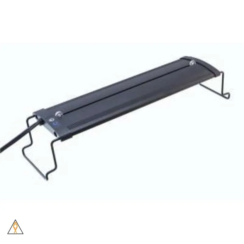 Full View Aquarium - Lifegard Aquatics