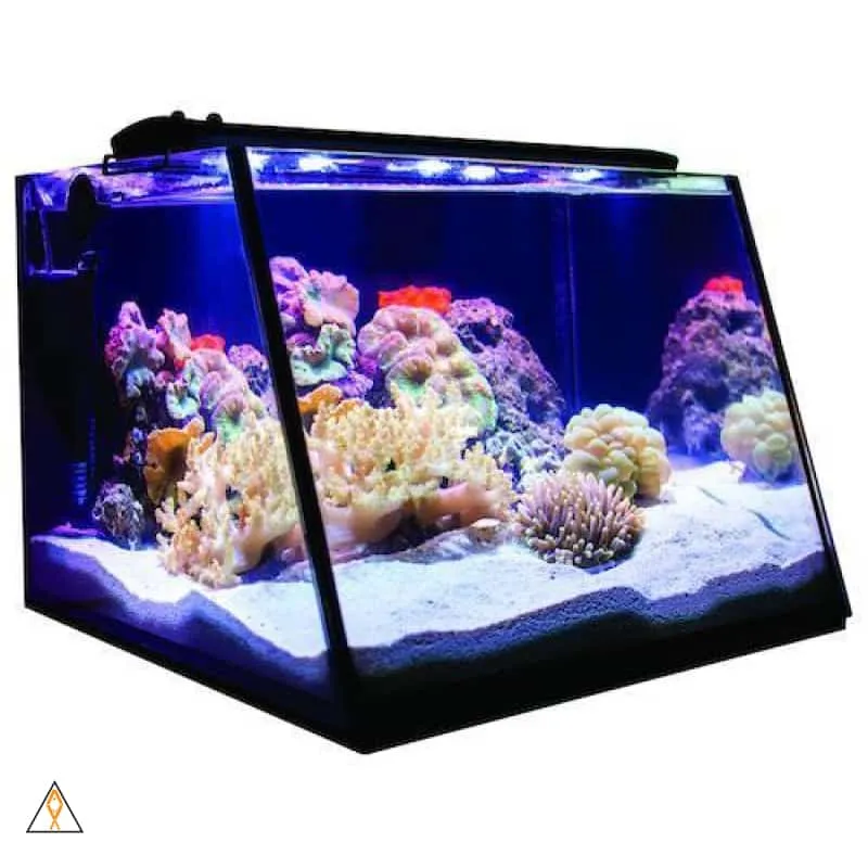 Full View Aquarium - Lifegard Aquatics
