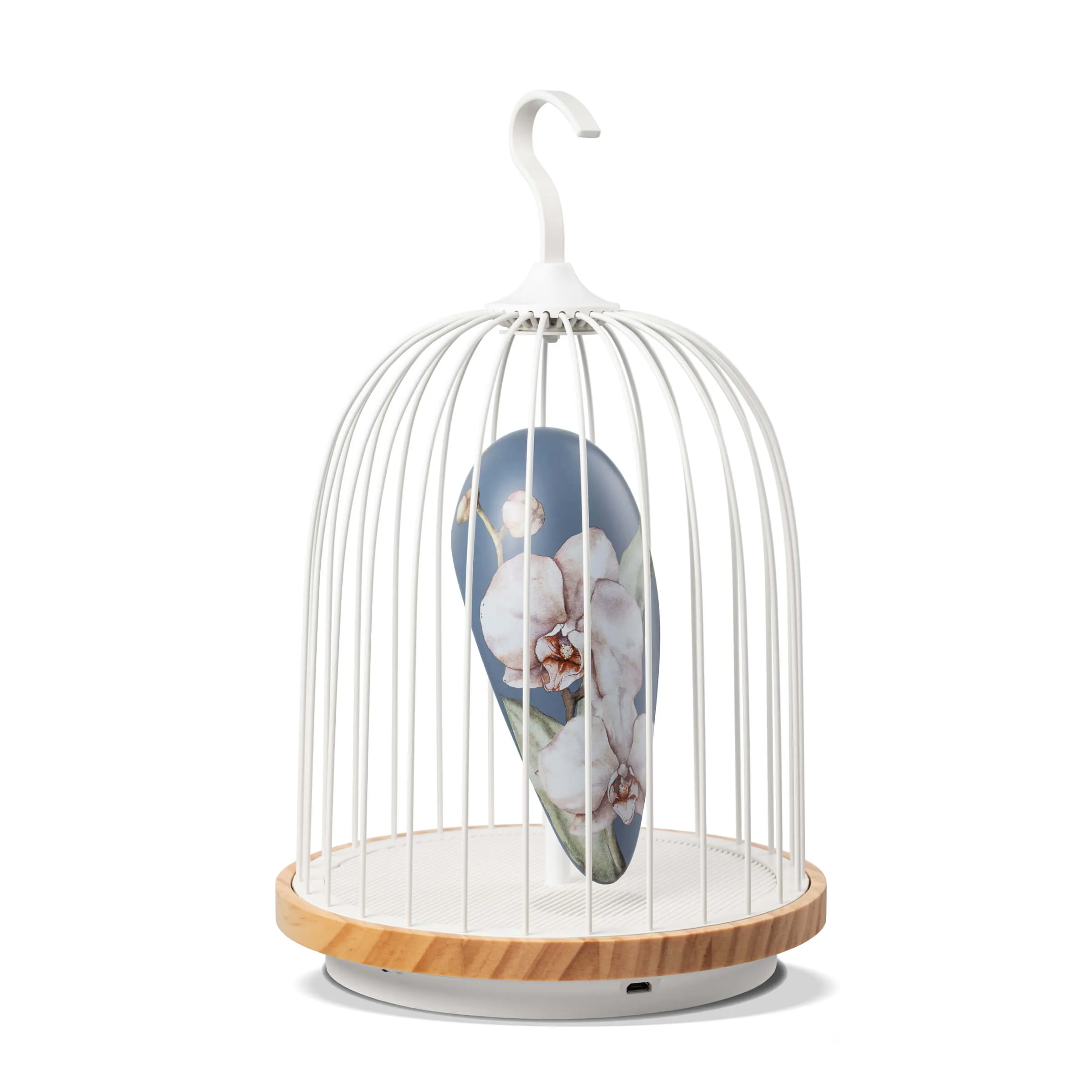Oriental Garden Bluetooth Speaker   Light JINGOO