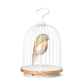 Oriental Garden Bluetooth Speaker   Light JINGOO