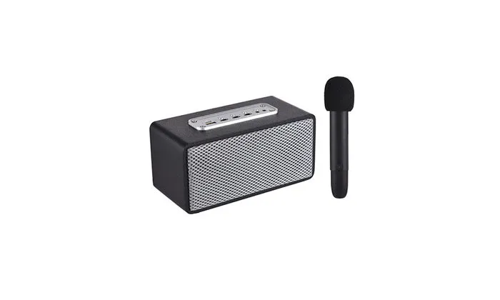 Portable Karaoke Machine