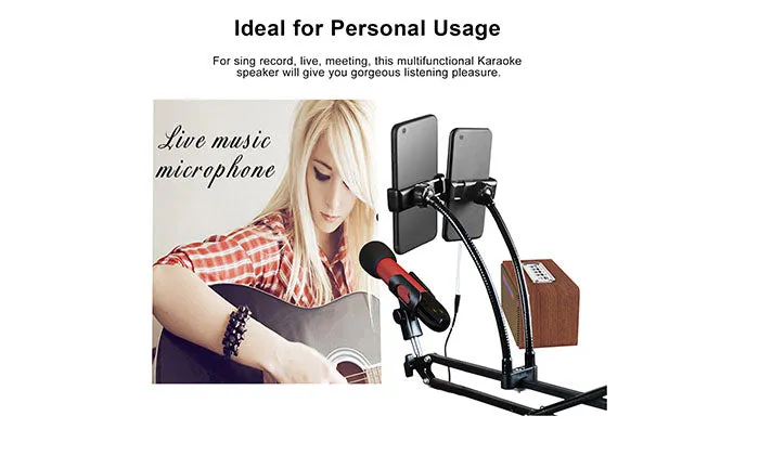 Portable Karaoke Machine