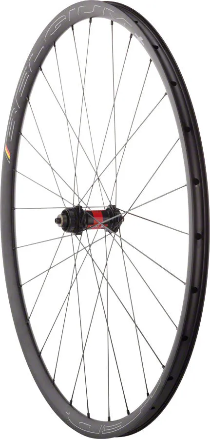 Quality Wheels DT 240 / Belgium  Front Wheel