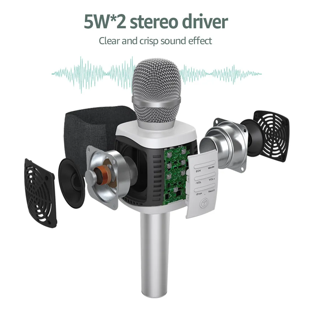 TOSING 027 Wireless Karaoke Microphone